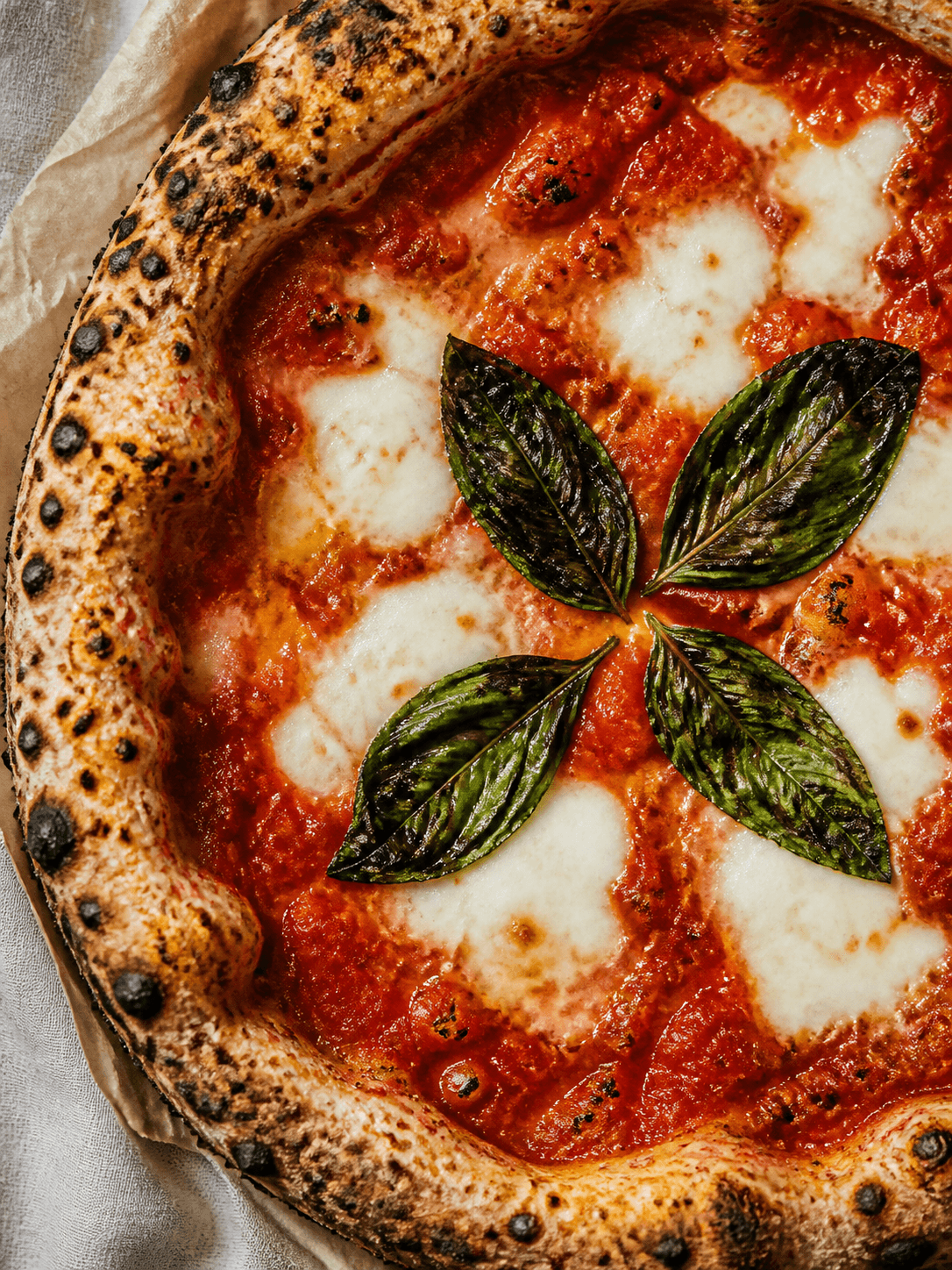 Close-up of a sourdough margherita pizza